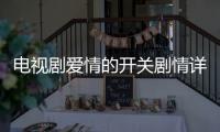 電視劇愛(ài)情的開(kāi)關(guān)劇情詳細(xì)介紹