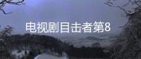 電視劇目擊者第8