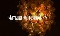 電視劇雙響炮第25