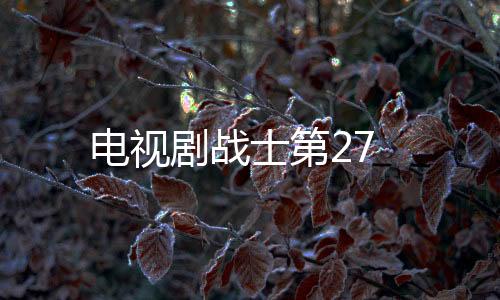 電視劇戰士第27