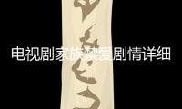 電視劇家族禁愛劇情詳細介紹