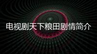 電視劇天下糧田劇情簡介