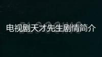 電視劇天才先生劇情簡介