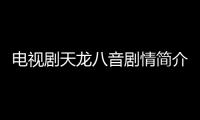 電視劇天龍八音劇情簡介