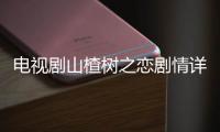 電視劇山楂樹之戀劇情詳細介紹