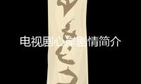 電視劇心岸劇情簡介