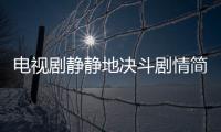 電視劇靜靜地決斗劇情簡介