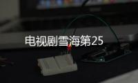 電視劇雪海第25