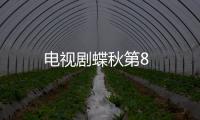 電視劇蝶秋第8