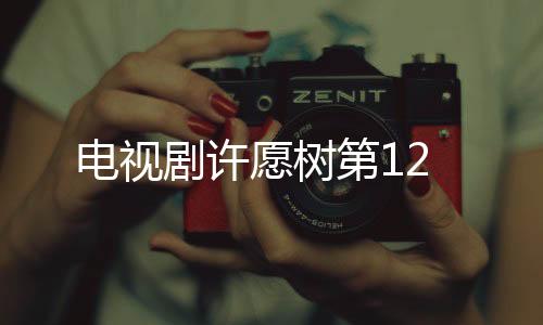 電視劇許愿樹第12