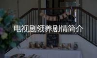 電視劇領養劇情簡介