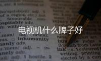 電視機什么牌子好