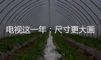 電視這一年：尺寸更大畫質(zhì)更好，但我還想讓它更聰明