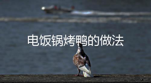 電飯鍋烤鴨的做法