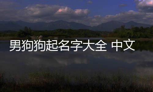 男狗狗起名字大全 中文(狗狗起名字大全霸氣)
