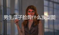男生瓜子臉剪什么發型圖片（男生瓜子臉剪什么發型）