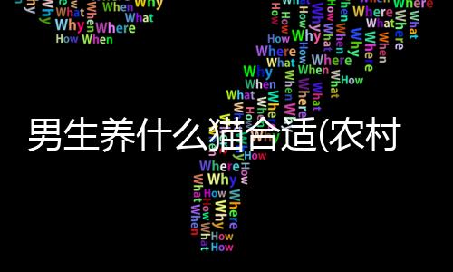 男生養(yǎng)什么貓合適(農(nóng)村養(yǎng)什么寵物狗好)