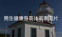 男生健康身高體重表圖片