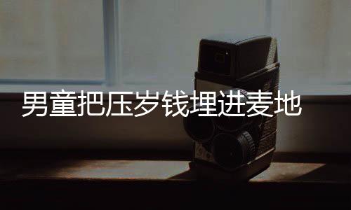男童把壓歲錢埋進麥地 種錢的錢！！