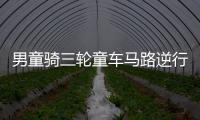 男童騎三輪童車馬路逆行  一對(duì)夫妻好心制止