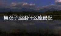 男雙子座跟什么座最配 男雙子座和什么座最配對
