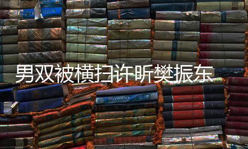 男雙被橫掃許昕樊振東 林高遠/梁靖崑：真打不過