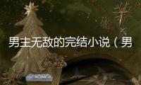 男主無敵的完結小說（男主一開始無敵的小說）