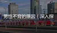 男性不育的原因（深入探討男性生育障礙的病因）
