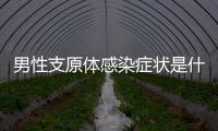 男性支原體感染癥狀是什么