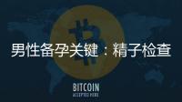 男性備孕關鍵：精子檢查、質量影響與健康指標
