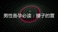 男性備孕必讀：腰子的營養(yǎng)價值、科學(xué)解讀與備孕效果探討