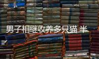 男子相繼收養多只貓 半年內全部失蹤或死去引質疑