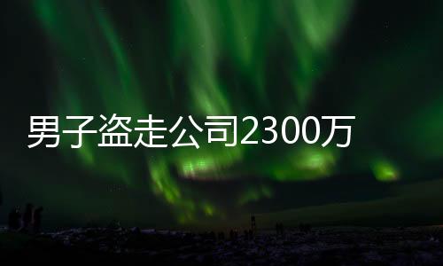 男子盜走公司2300萬！1900多萬轉給“前妻 ”，剩余炒股