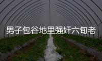 男子包谷地里強奸六旬老婦 自知罪責難逃選擇自首