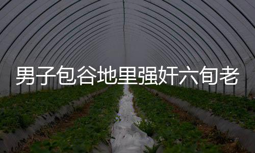 男子包谷地里強奸六旬老婦 自知罪責難逃選擇自首