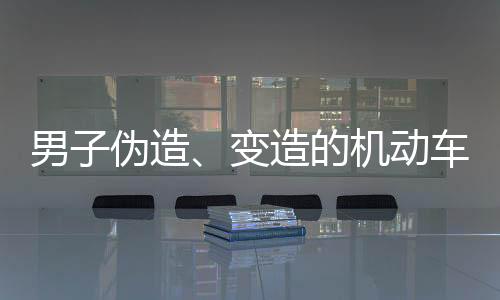 男子偽造、變造的機動車駕駛  被拘留半月
