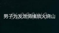 男子為發泄情緒放火燒山100余畝，已被依法刑拘