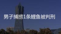 男子捕撈1條鯉魚被判刑，法院：禁漁區禁漁期捕撈