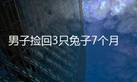 男子撿回3只兔子7個月繁殖近百只 一不小心成了養兔個體戶！
