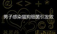 男子感染貓狗細菌引發(fā)敗血癥 不得不截肢