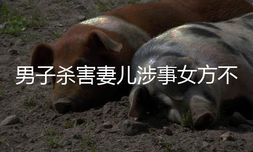 男子殺害妻兒涉事女方不忠?親屬回應：想做親子鑒定證清白，但男方已下葬