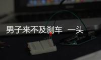 男子來不及剎車  一頭撞上救護(hù)車