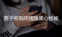 男子收購死豬賺黑心錢被判刑，多方溯源治理，消除食品安全隱患！