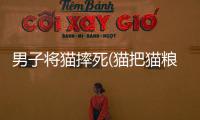 男子將貓摔死(貓把貓糧叼到主人面前)