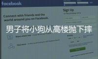 男子將小狗從高樓拋下摔死并炫耀，警方通報：已采取刑事強制措施