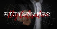 男子開車被狗咬 追尾公交卻牽出無證駕駛案