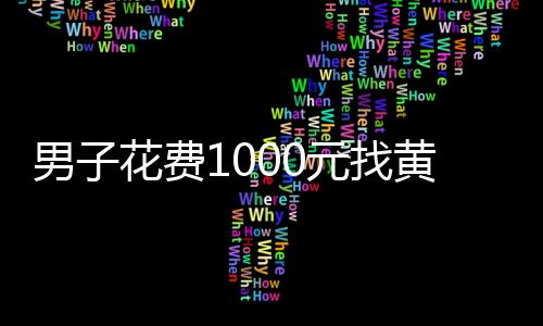 男子花費1000元找黃牛辦假證開車24年被查 從未發生過違章