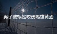 男子被蜈蚣咬傷喝雄黃酒解毒 專家：等于吃砒霜