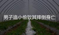 男子追小偷致其摔倒身亡被起訴 網友應該怎樣看?