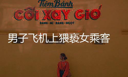 男子飛機(jī)上猥褻女乘客  被拘留5日